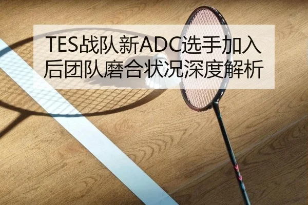 TES战队新ADC选手加入后团队磨合状况深度解析